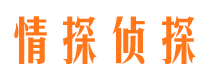 镇坪市侦探调查公司